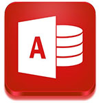 Microsoft Office Access 2003(数据库管理系统)