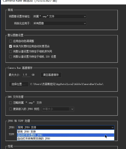 Camera Raw怎么批量处理