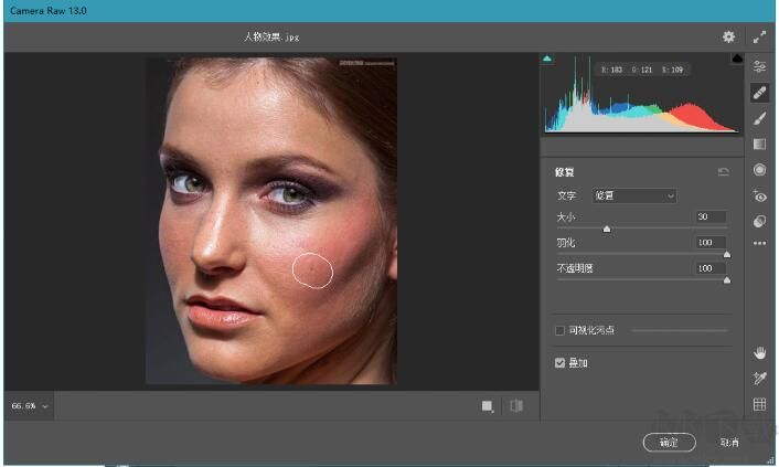 Adobe Camera Raw中文版