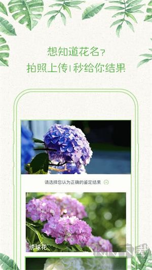 形色植物识别app最新版