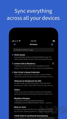 simpleNote纯净版